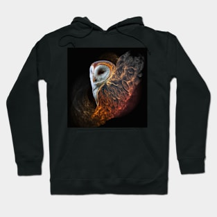 Barn Owl Wisps 04 Hoodie